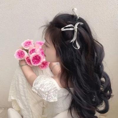 飞燕金枪